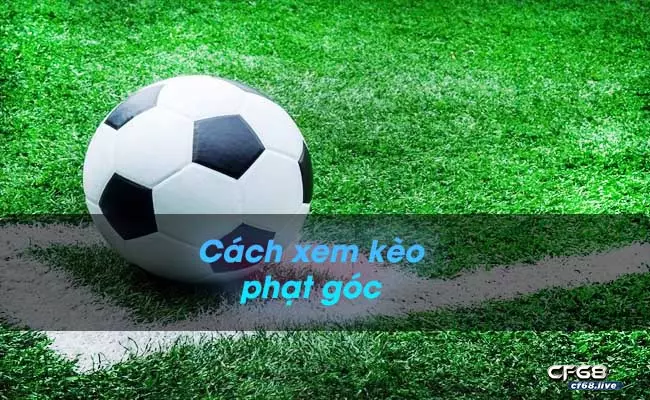 Cách xem kèo phạt góc chuẩn xác nhất