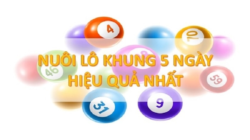 Lô nuôi khung 5 ngày là gì? Cf68 chỉ bạn cách chơi bất bại