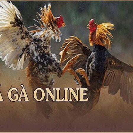 Game đá gà online – Cách chơi siêu hiệu quả tại CF68