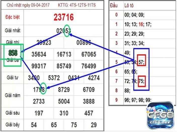 Soi cau miền Trung dựa theo hình quả trám 