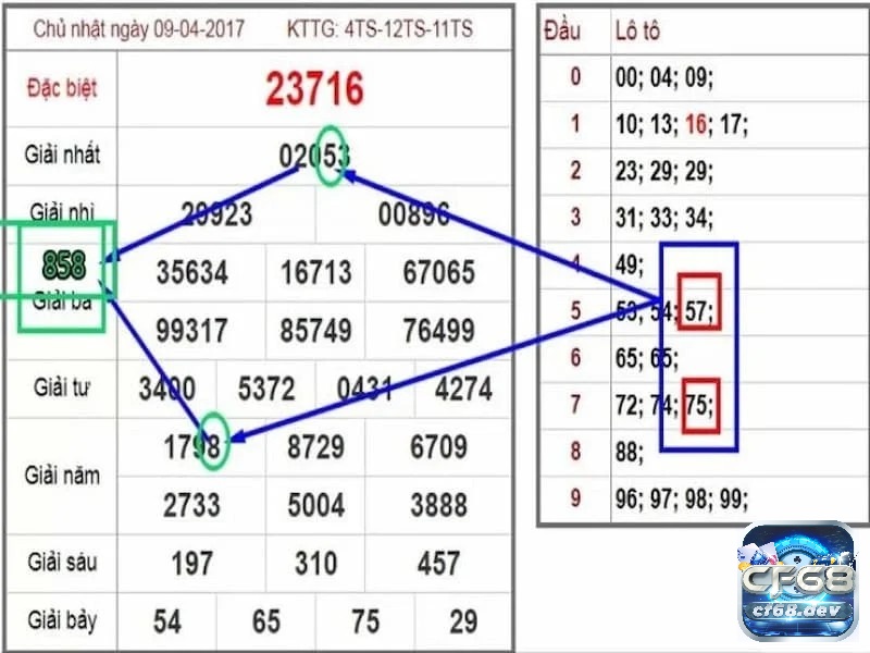 Ví dụ về lô hình quả trám