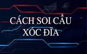 Cách soi cầu sóc đĩa chuẩn 100%, hướng dẫn chi tiết