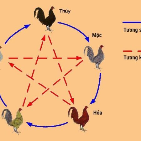 Cách xem ngày đá gà dựa vào 12 con giáp, ngày tốt đi đá gà