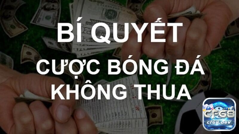 Cách chơi cá độ bóng đá không thua phỉa soi kèo kỹ lưỡng